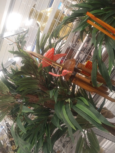 Clothing Store «Ross Dress for Less», reviews and photos, 455 S Wadsworth Blvd, Lakewood, CO 80226, USA