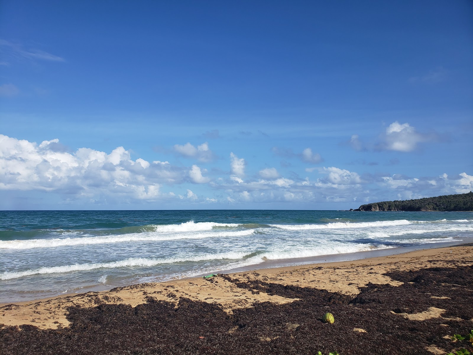 Φωτογραφία του Playa El Negro με μακρά ευθεία ακτή