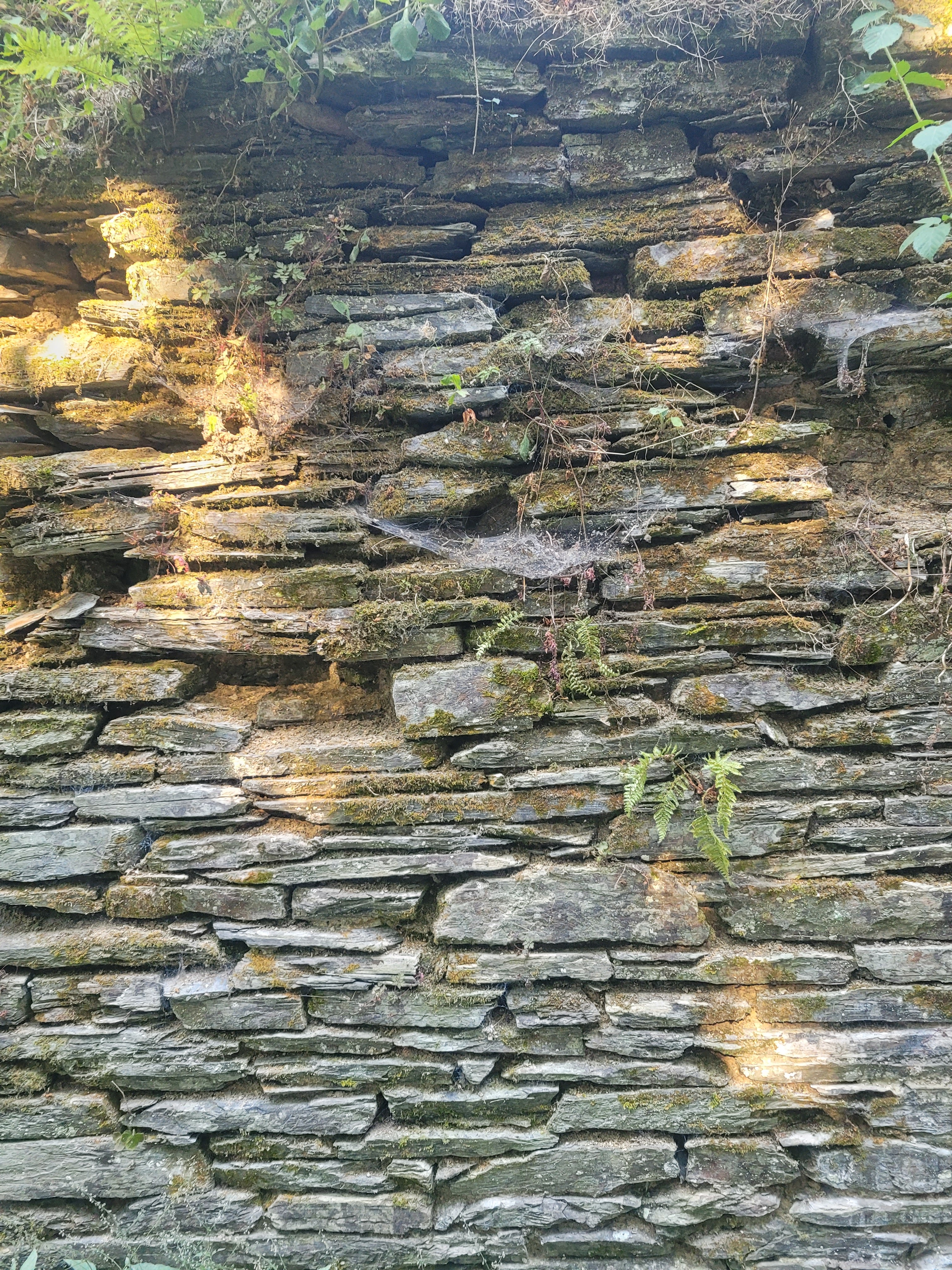 Photo n° 15 de l'avis de YzabelleD. fait le 13/08/2022 à 22:46