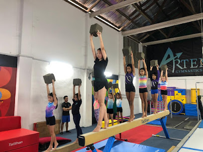 Artemis Gymnastics Academy