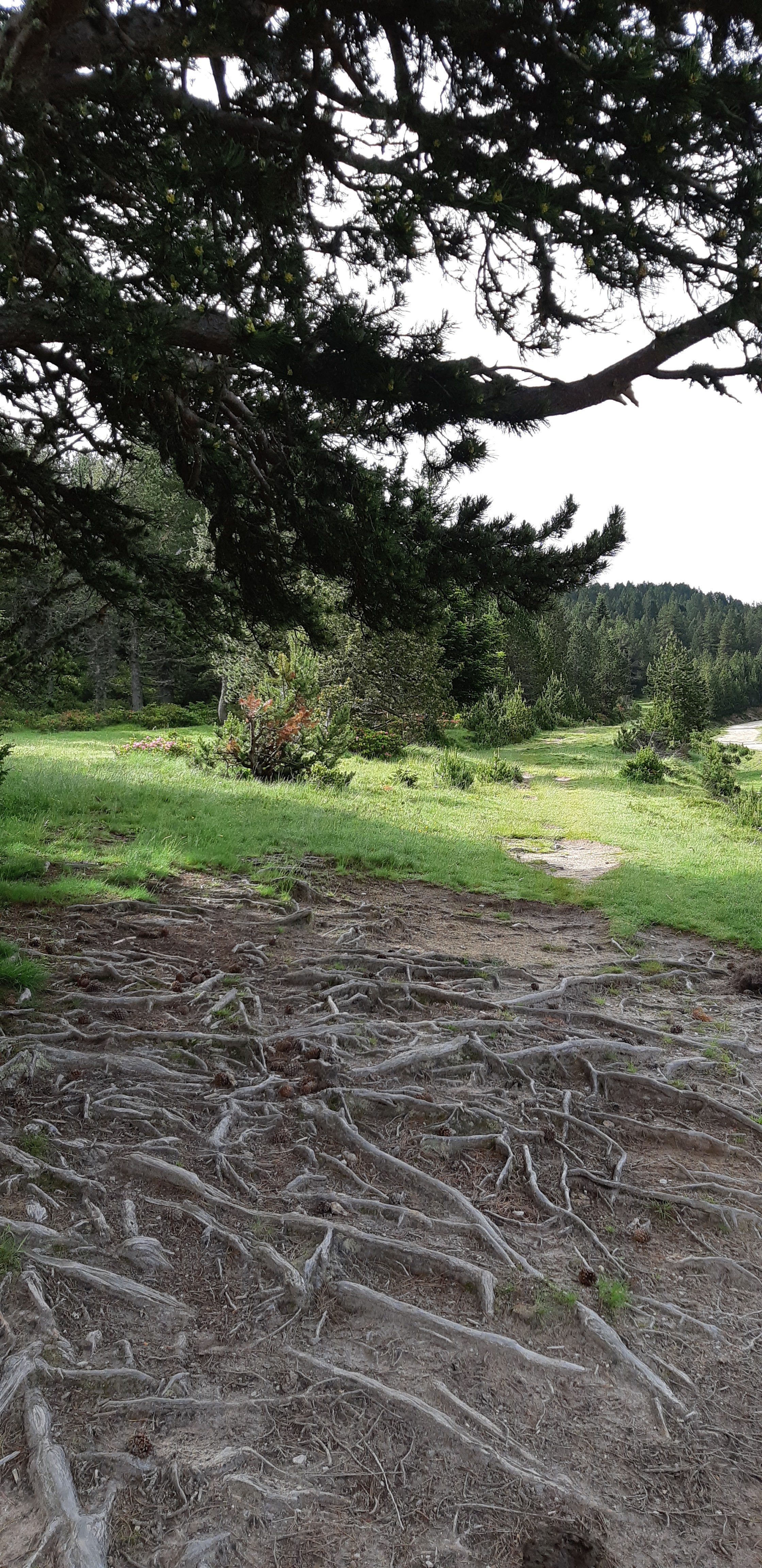 Photo n° 1 de l'avis de Philippe. fait le 20/07/2021 à 09:13