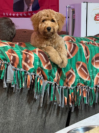 SPAW FUR PAWS - Photo 3 - Car repair in Logan, UT, Logan