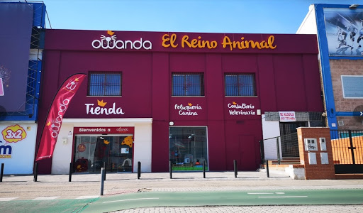 Tiendas de loros en Sevilla