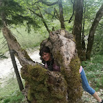 Photo n°14 de l'avis de Manuela.e fait le 05/06/2023 à 20:51 sur le  Kenzenhütte - Franziska Schlögel à Halblech