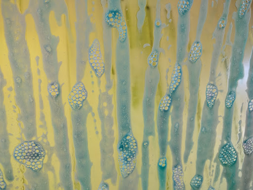 Car Wash «Windwood Car Wash», reviews and photos, 2875 NE 2nd Ave, Miami, FL 33137, USA