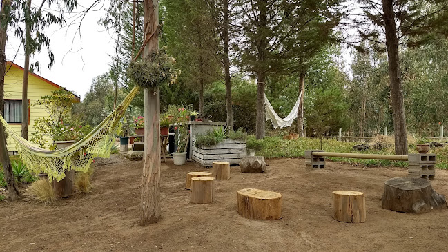 Cabañas Bosques del Rungue - Hotel