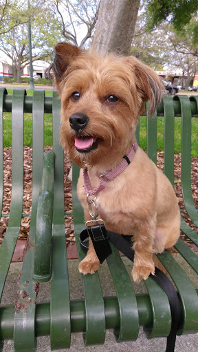 Pet Supply Store «Largo Feed & Garden Supply Inc», reviews and photos, 210 W Bay Dr, Largo, FL 33770, USA