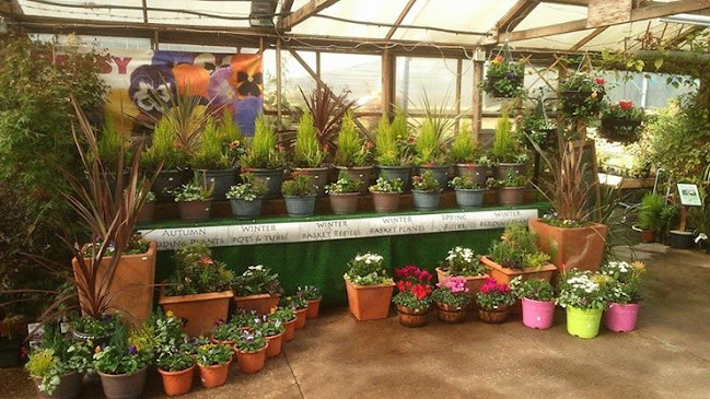 Reviews of Kiwi Nurseries in Manchester - Landscaper