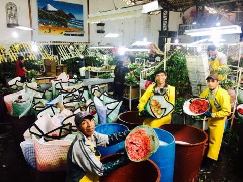 Florist «Edgewood Flowers», reviews and photos, 4927 S Orange Ave, Orlando, FL 32806, USA