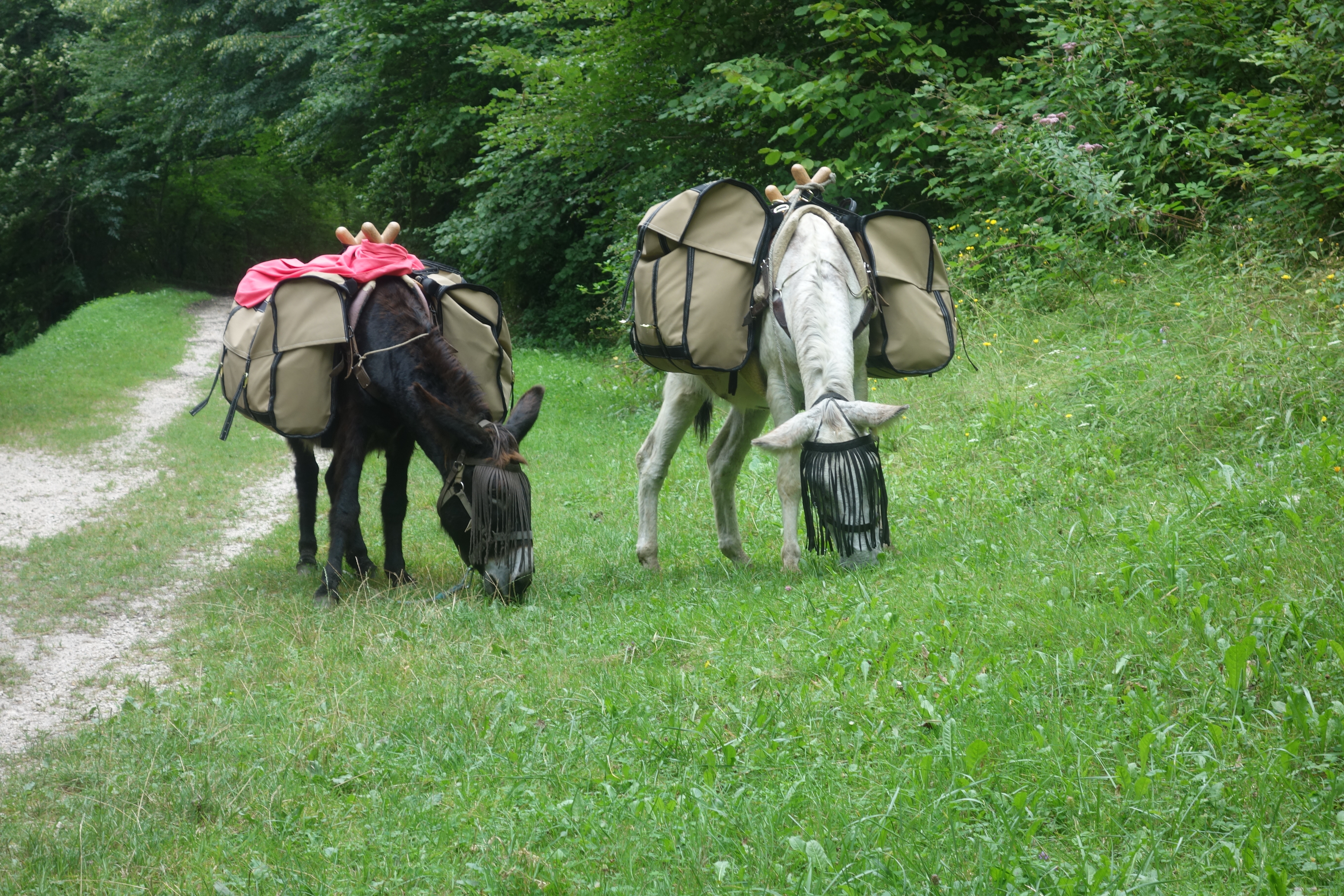 Photo n° 1 de l'avis de Frank.u fait le 19/08/2018 à 09:15