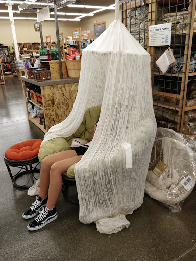 Furniture Store «Cost Plus World Market», reviews and photos, 885 S Cotton Ln, Goodyear, AZ 85338, USA