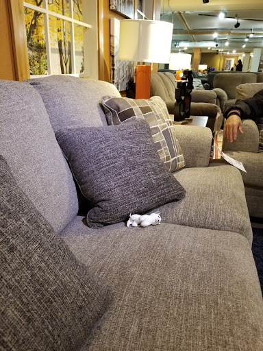 Furniture Store «Harkness Furniture», reviews and photos, 6612 S Tacoma Way, Tacoma, WA 98409, USA