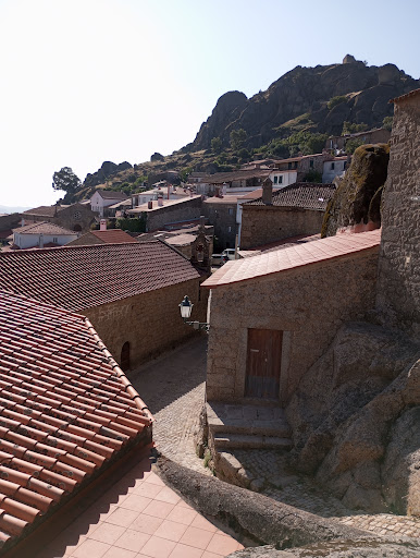 Veterinario- Consultorio Veterinario Mundo Mascota - Jaraíz de la Vera