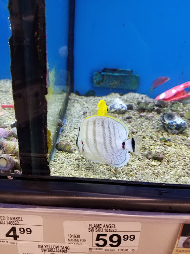 Pet Supply Store «Petco Animal Supplies», reviews and photos, 11331 W Broad St #151, Glen Allen, VA 23060, USA