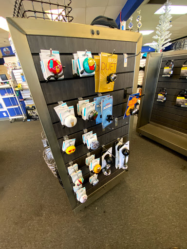 Bicycle Store «Elk Grove Bike Shop», reviews and photos, 9633 E Stockton Blvd, Elk Grove, CA 95624, USA