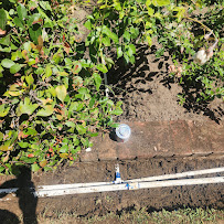 RototillerGuy ; Landscape Contractor | Sod | Sprinkler Installation & Repair - Photo 7 - Car repair in , Torrance