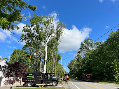Yankee Tree Service