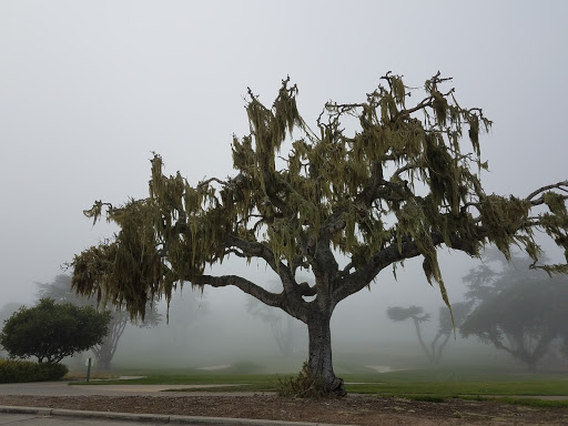 Golf Club «Bayonet and Black Horse», reviews and photos, 1 McClure Way, Seaside, CA 93955, USA