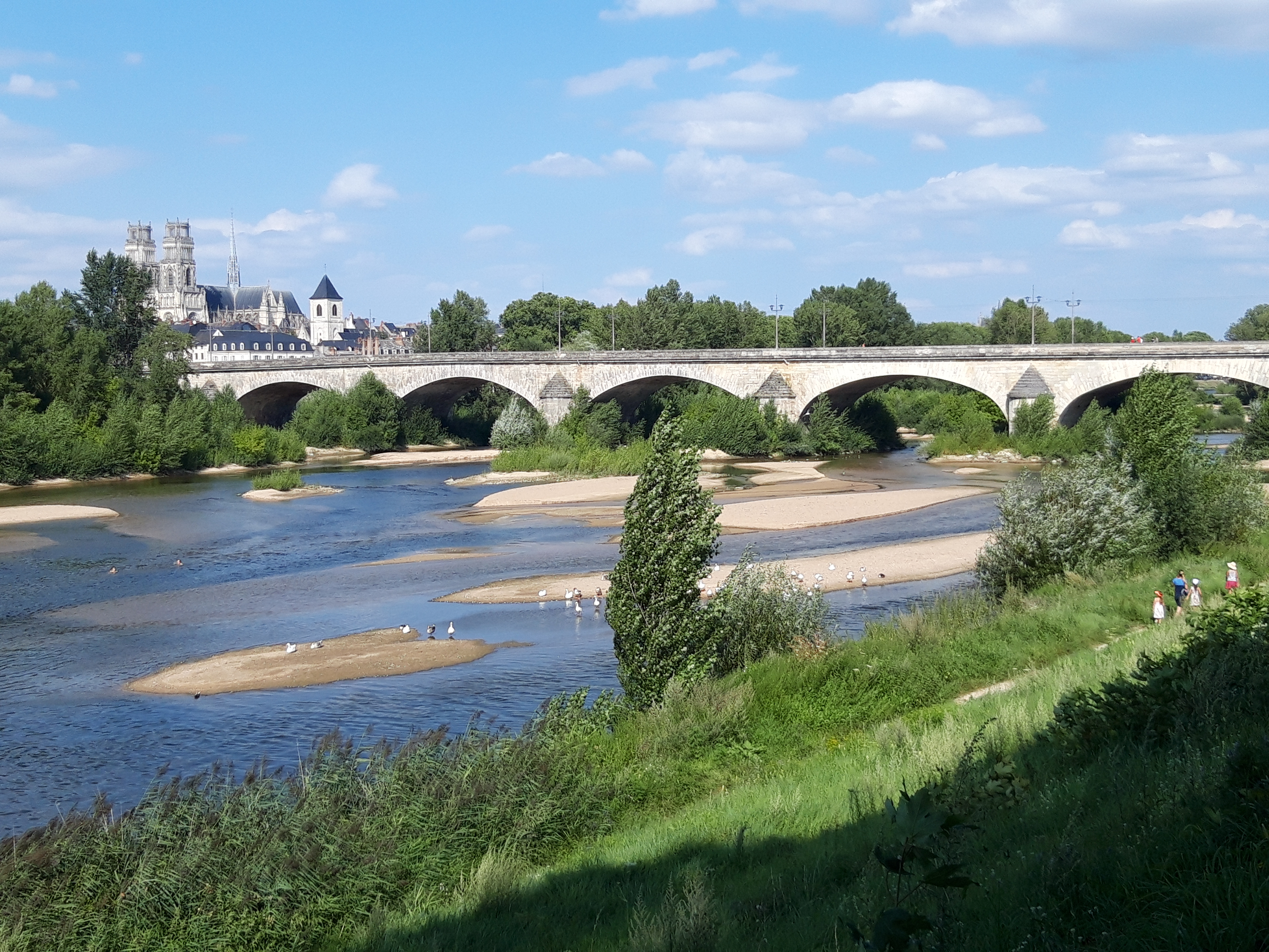 Photo n° 40 de l'avis de René.O fait le 21/08/2021 à 10:40