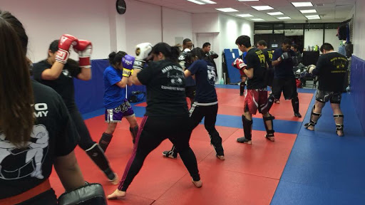 Academies to learn muay thai in New York