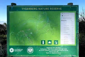 Tygerberg Nature Reserve image