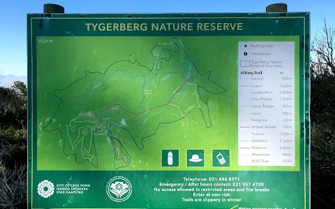Tygerberg Nature Reserve image