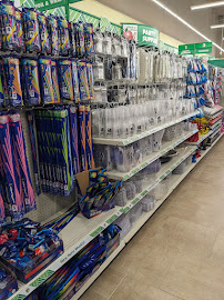 Dollar Tree - Photo 9 - Car repair in Burlington, NC, Burlington