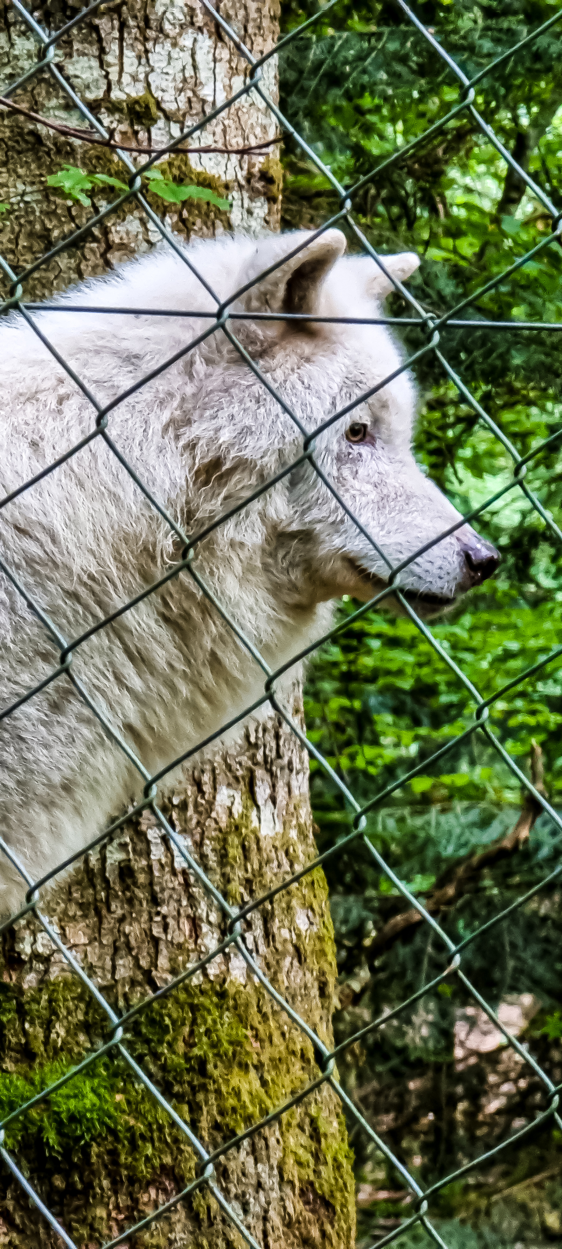 Photo n° 2 de l'avis de Greg.D fait le 26/06/2023 à 15:07