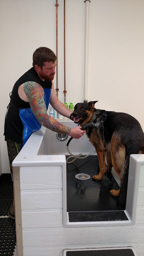 Pet Supply Store «Healthy Pet Center», reviews and photos, 775 New Loudon Rd, Latham, NY 12110, USA