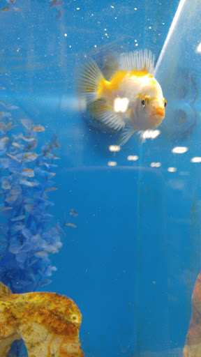 Pet Supply Store «PetSmart», reviews and photos, 144 Retail Commons Pkwy, Martinsburg, WV 25403, USA