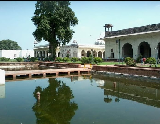 Google Maps image 11