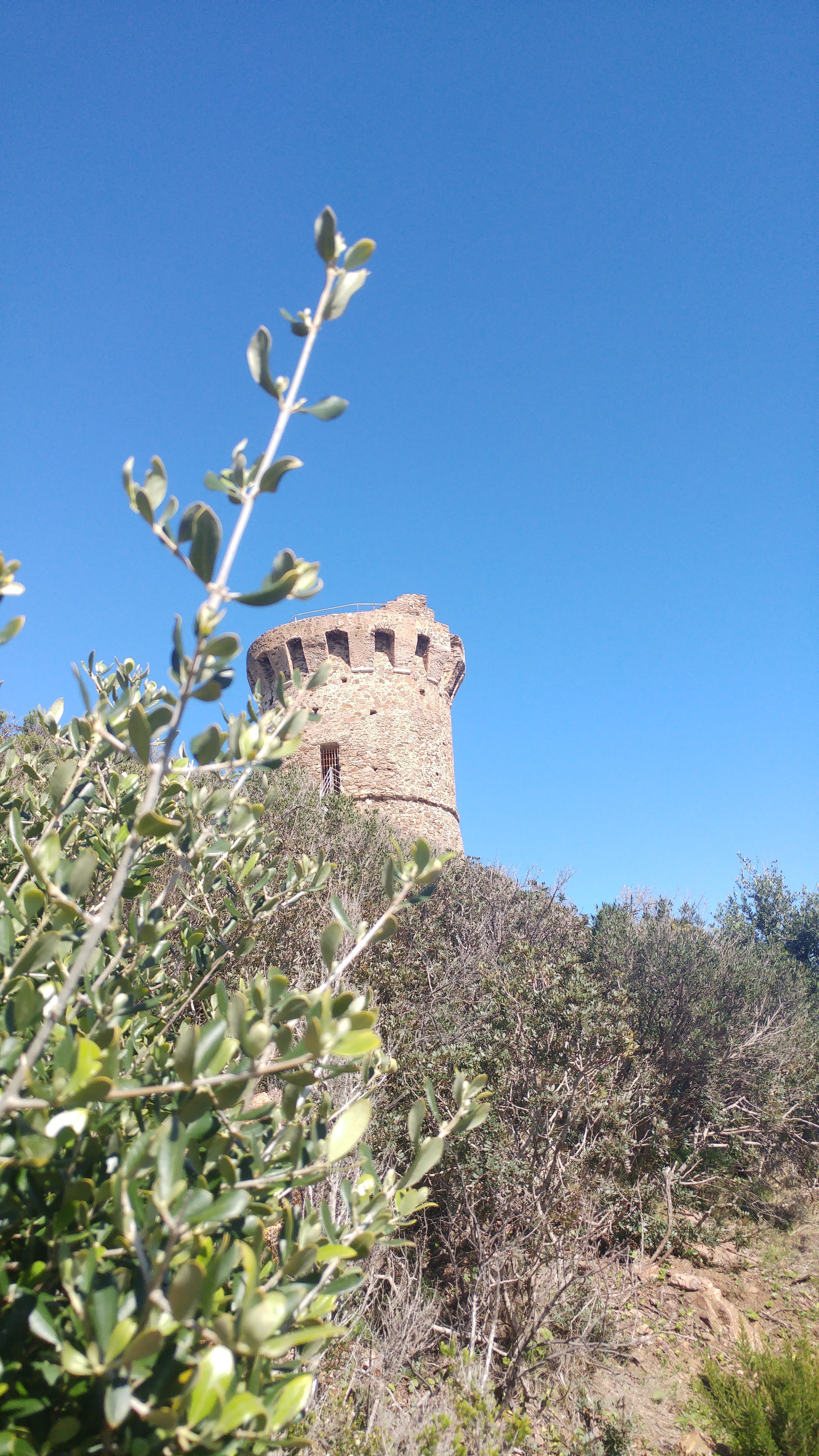 Photo n° 2 de l'avis de Robert.h fait le 08/04/2018 à 12:25