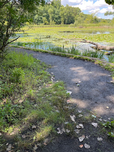 Nature Preserve «Asylum Lake Preserve», reviews and photos, 3836 S Drake Rd, Kalamazoo, MI 49008, USA
