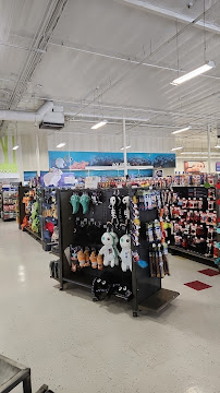 Petco - Photo 6 - Car repair in Los Angeles, CA, Los Angeles