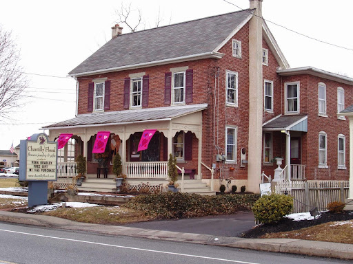 Florist «Chantilly Floral Boutique», reviews and photos, 427 Main St, Harleysville, PA 19438, USA