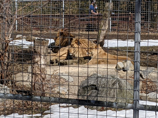 Zoo «Utica Zoo», reviews and photos, 1 Utica Zoo Way, Utica, NY 13501, USA