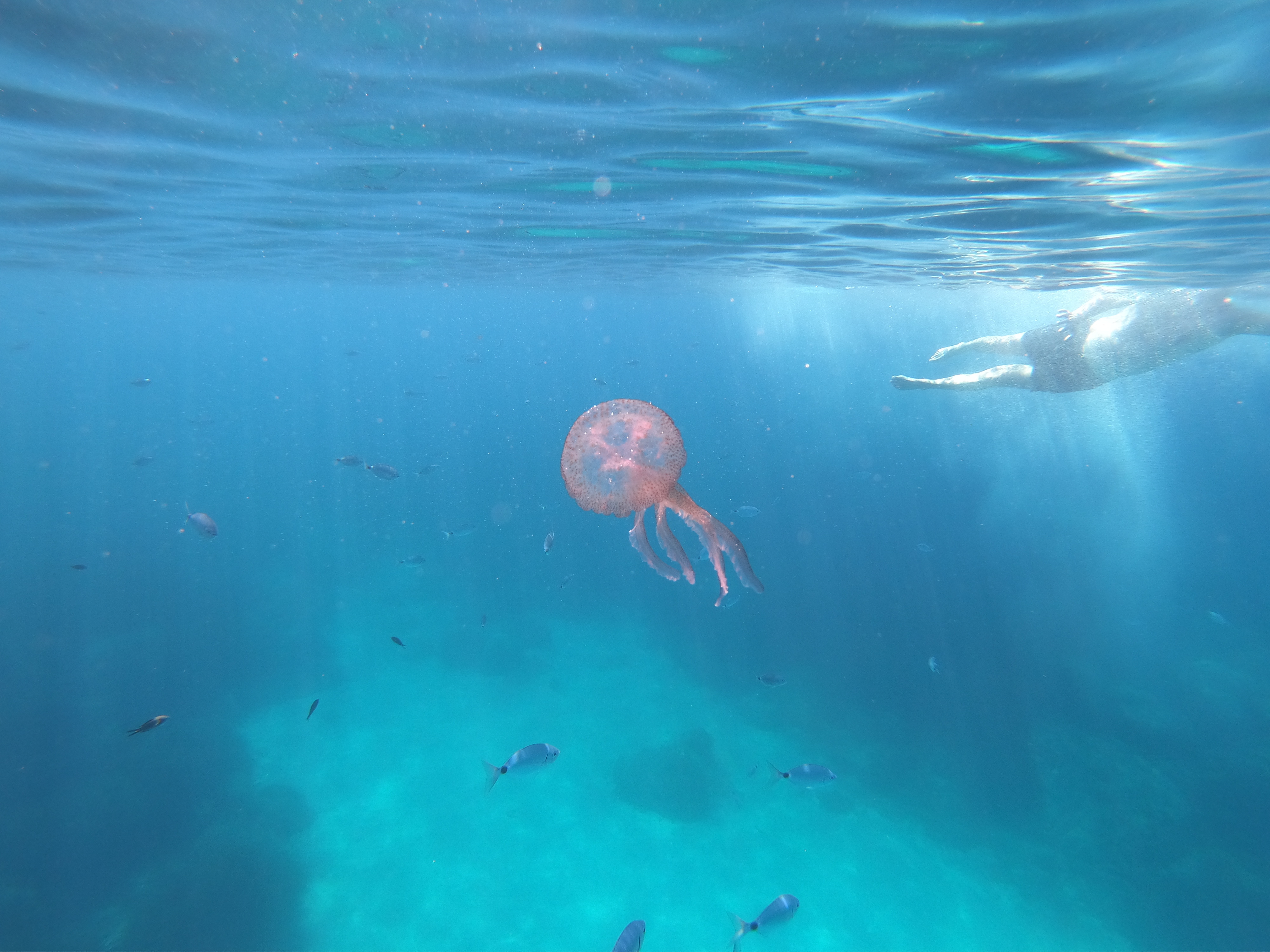 Photo n° 1 de l'avis de Emmanuel.A fait le 26/07/2022 à 13:33