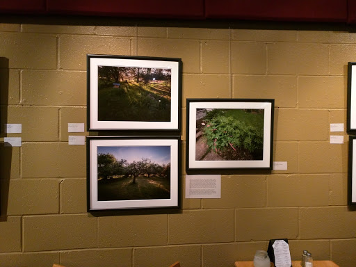 Movie Theater «The Little Theatre», reviews and photos, 240 East Ave, Rochester, NY 14604, USA