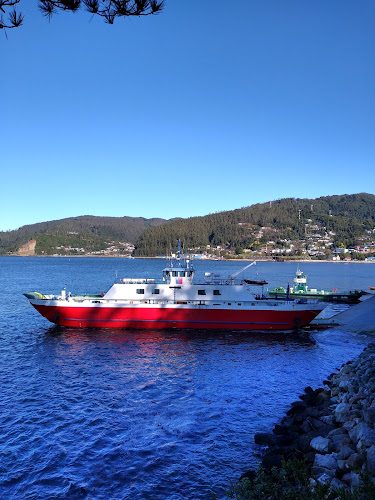 Opiniones de Rampa Barcaza Corral A Niebla en Corral - Servicio de transporte