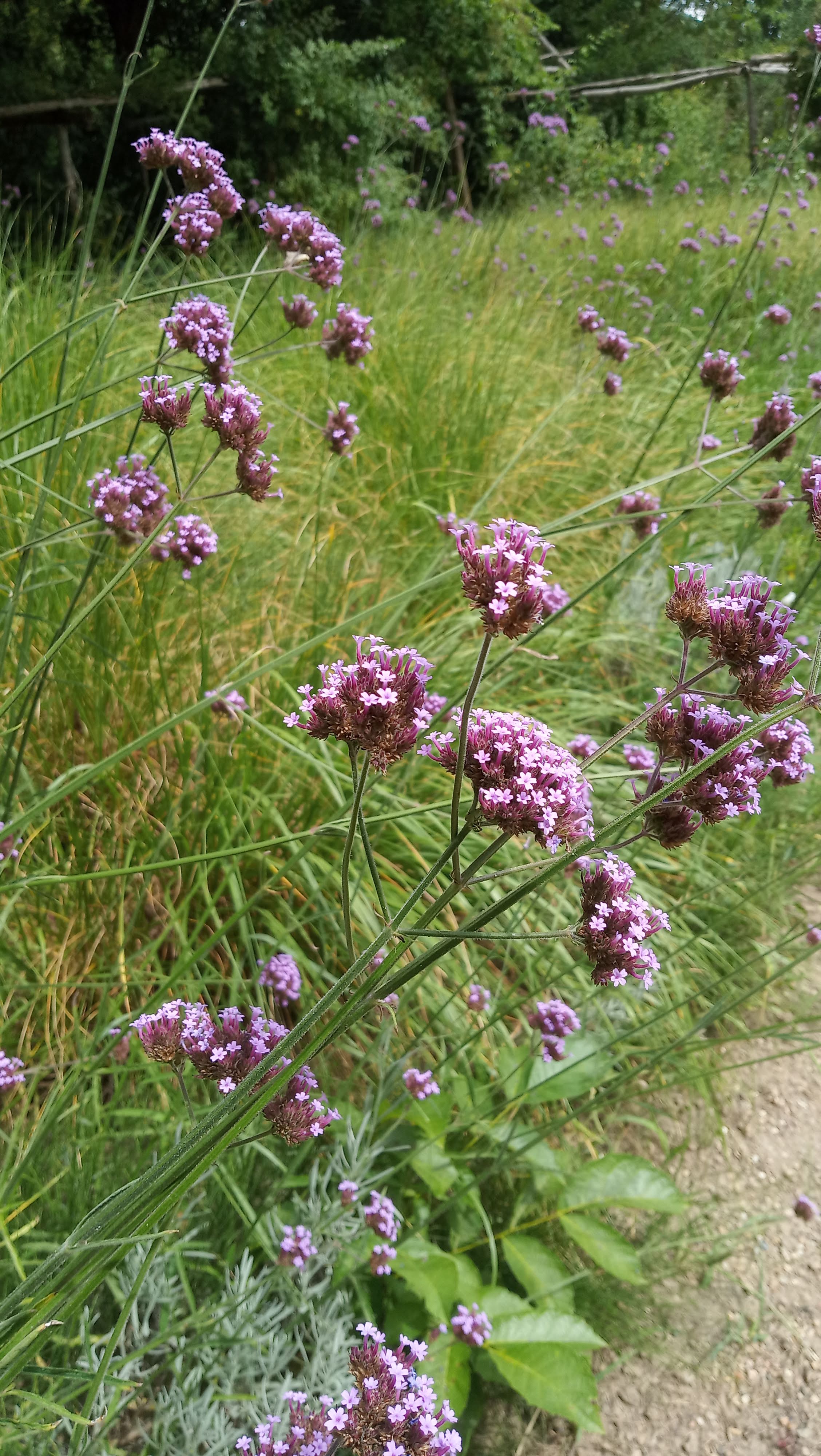 Photo n° 5 de l'avis de Olivier.a fait le 21/07/2023 à 15:12