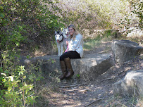 Better PUPS Dallas Dog Training - Photo 6 - Car repair in , Dallas