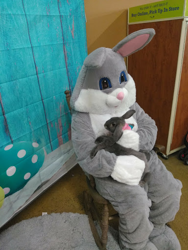 Pet Supply Store «PetSmart», reviews and photos, 4200 Derry St, Harrisburg, PA 17111, USA