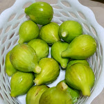 Photo n°7 de l'avis de Luca.r fait le 09/08/2020 à 09:34 sur le  Ristorante (Home Restaurant Fiorella) à Amantea