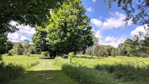 Disc Golf Course «Hudson Mills Disc Golf Course», reviews and photos, 8801 N Territorial Road, Dexter, MI 48130, USA