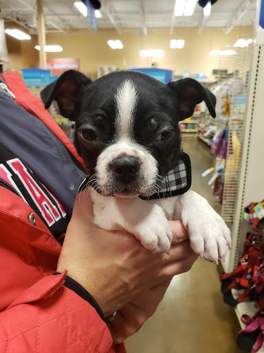 Pet Supply Store «PetSmart», reviews and photos, 8014 Old Carriage Ct, Shakopee, MN 55379, USA