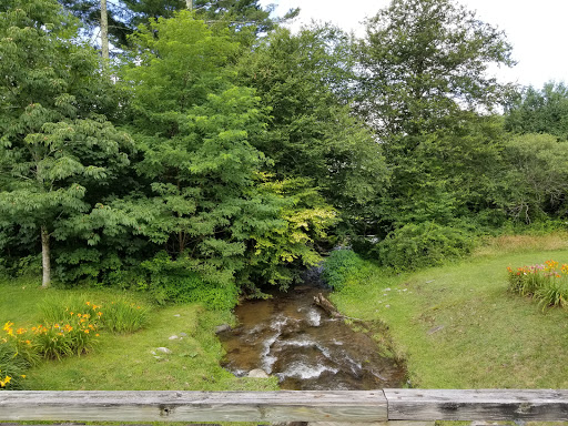 Discount Store «Dollar General», reviews and photos, 767 Main St E, Banner Elk, NC 28604, USA