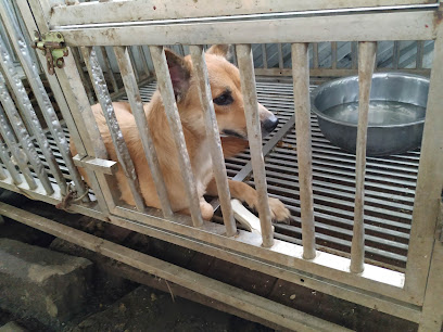 Pejaten Animal Shelter