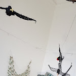 Photo n° 4 de l'avis de A. fait le 19/09/2021 à 16:12 pour Muséum d'Histoire Naturelle à Le Havre