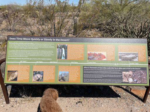 Nature Preserve «Gateway Trailhead - McDowell Sonoran Preserve», reviews and photos, 18333 N Thompson Peak Pkwy, Scottsdale, AZ 85255, USA