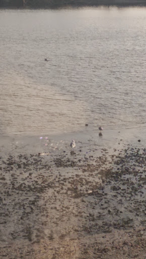 Event Venue «Beckwith Pointe», reviews and photos, 700 Davenport Ave, New Rochelle, NY 10805, USA